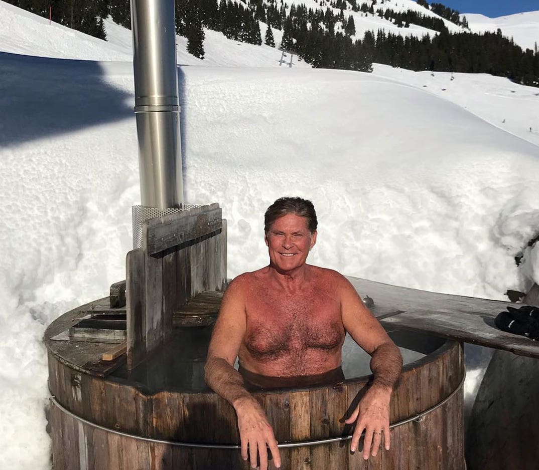 David Hasselhoff