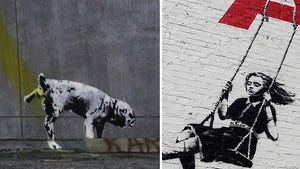 Graffiti Artist Charged With Vandalizing Banksy's Vandal Art
