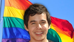 'American Idol's' David Archuleta Comes Out as LGBT During Pride Month