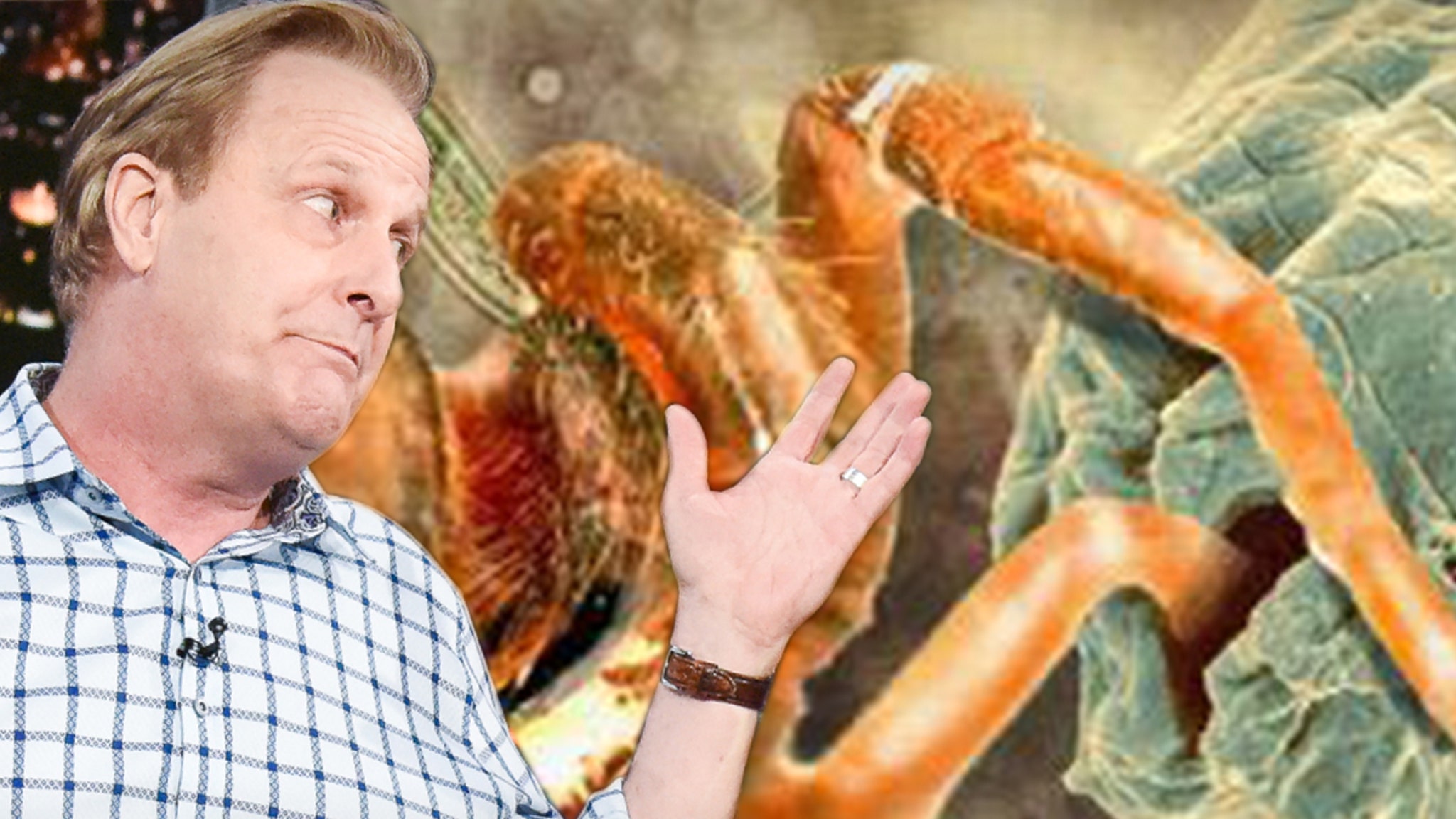 New Tarantula-Killing Worm Named After Jeff Daniels thumbnail