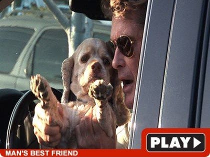 1009_hasselhoff_video_tmz-1