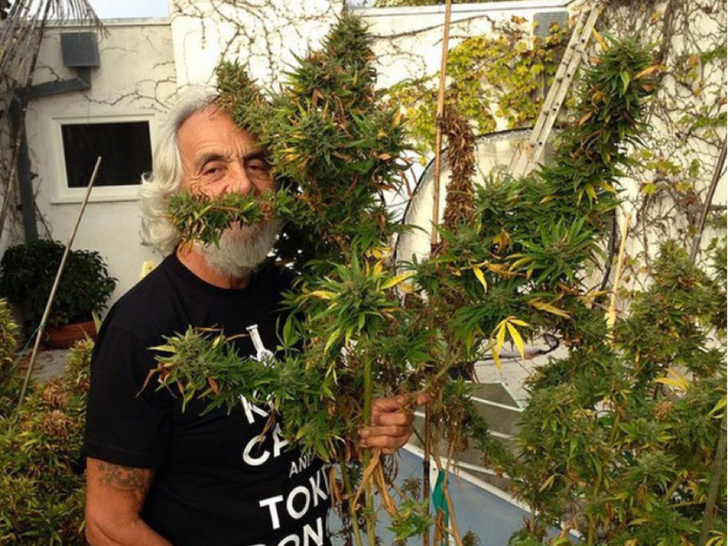 Tommy Chong Thinks Biden's Weed Pardon Is Good, But There's More To Do