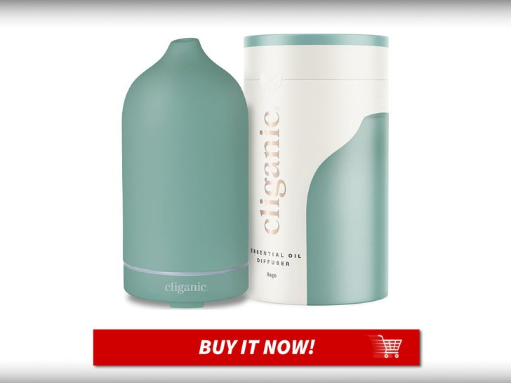 Cliganic-Ceramic-Diffuser-MAIN