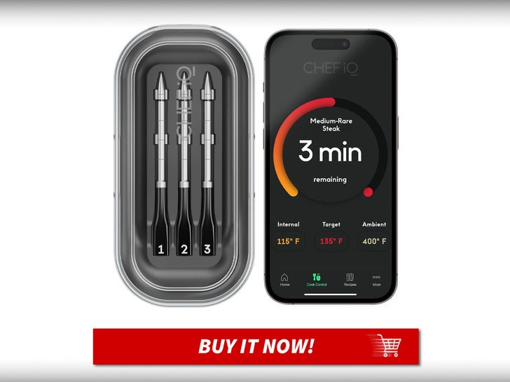 Chef-IQ-Sense-Smart-Wireless-Meat-Thermometer-Main