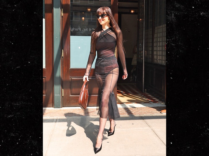 Dakota Johnson backgrid 2