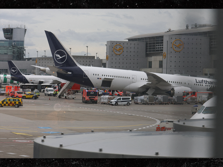 plane frankfurt collapse reuters