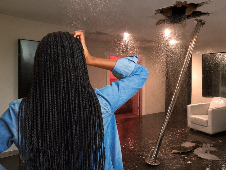 stripper pole flood 2
