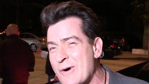 Charlie Sheen Celebrates Sobriety, Reveals AA Coin