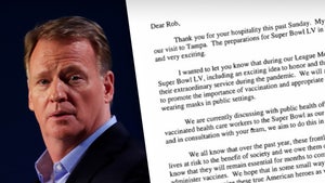NFL Gunning to Send Vaccinated Heath Workers to Super Bowl, Says Roger Goodell