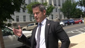 Rep. Adam Kinzinger Says Homophobic, Racist Voicemail to Officer Fanone Should Be Heard