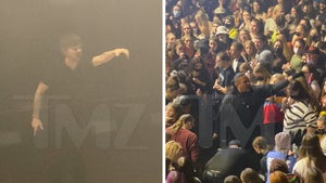 Louis Tomlinson Stops Show for Sick Fan in Audience