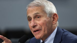 fauci getty 
