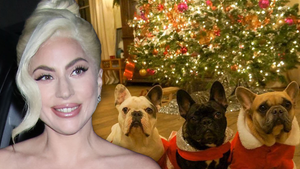 Lady Gaga Gets $500k Dog Reward Lawsuit Tossed