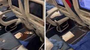 Video Surfaces Showing Alleged Aftermath of Poop Plane Incident