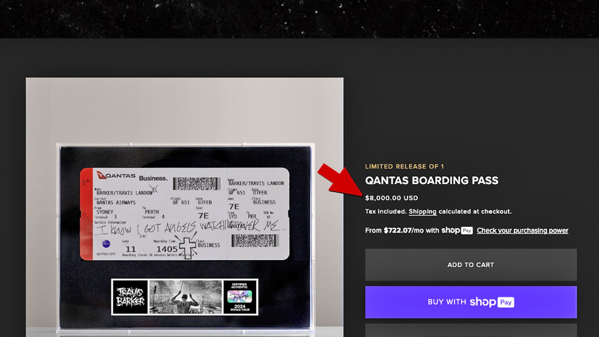 Travis Barker Selling His Boarding Pass for Charity, Historic Significance, image size:2048x1152