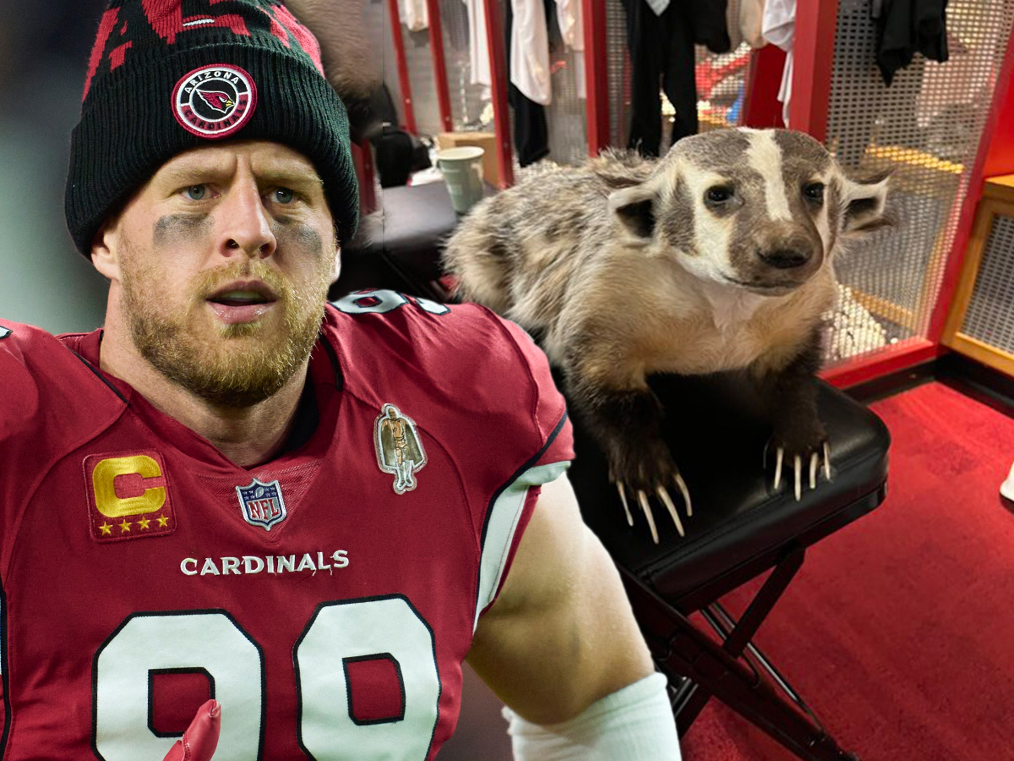 J.J. Watt Crazy Fan Mail, Stuffed Badger!!