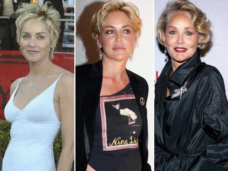 Sharon Stone Through The Years