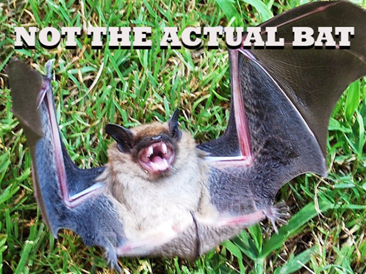 bat press release pasco county florida 1
