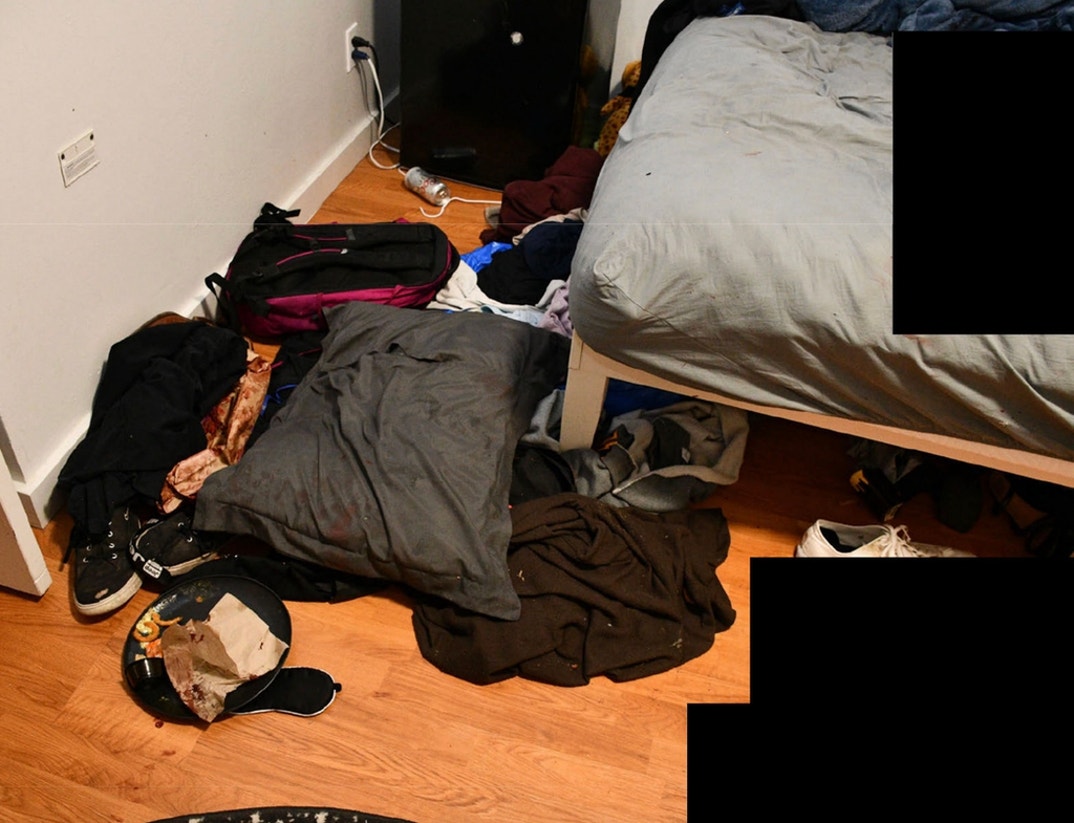 Bryan Kohberger Graphic Crime Scene Photos 15