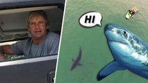 Laird Hamilton -- Go Ahead, Swim with Sharks ... But How's Your Jab? (Just in Case)