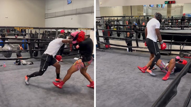 Adrian Peterson Flattens Opponent With Huge Right Hand In Sparring Sesh.jpg