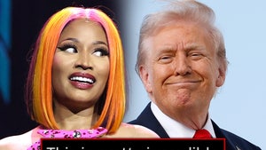 nicki minaj donald trump main getty