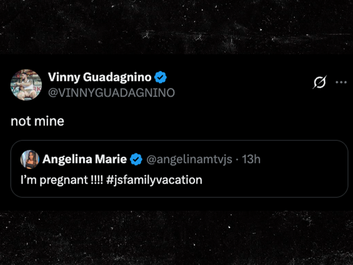 sub Angelina Pivarnick  Vinny Guadagnino  x