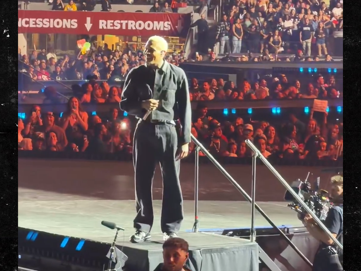 090226 chris brown sub
