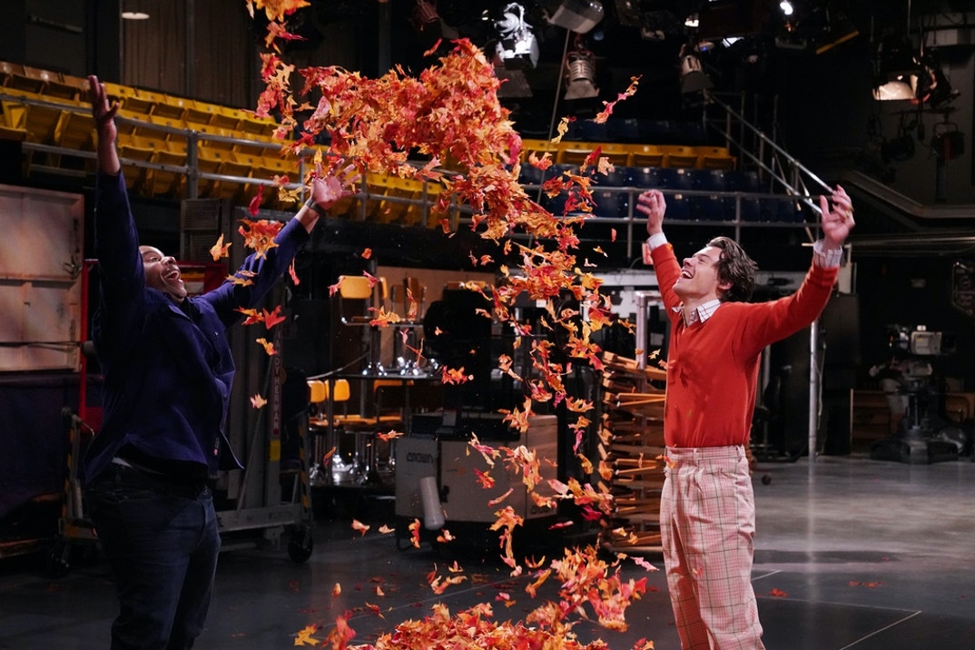 Harry Styles and Harry Styles