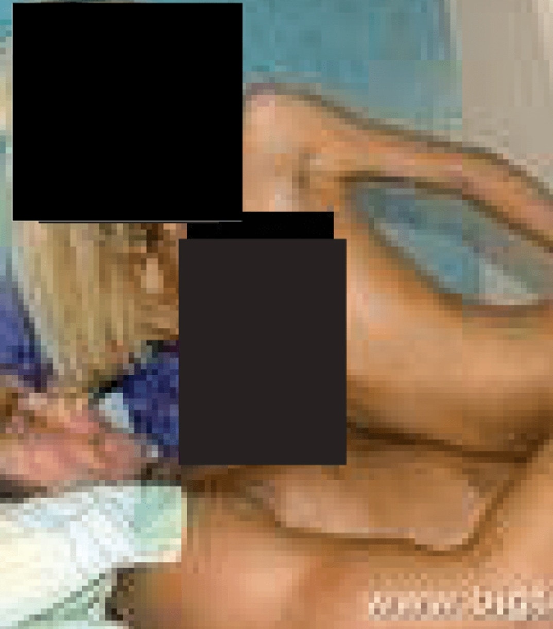 Jeffrey Epstein Alleged Porn Consumption 8