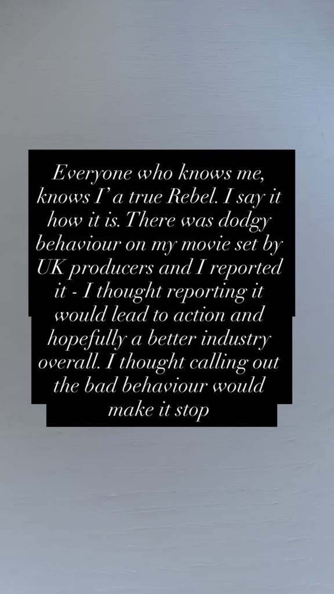 Rebel Wilson Trashes Billionaires On Instagram Stories 20