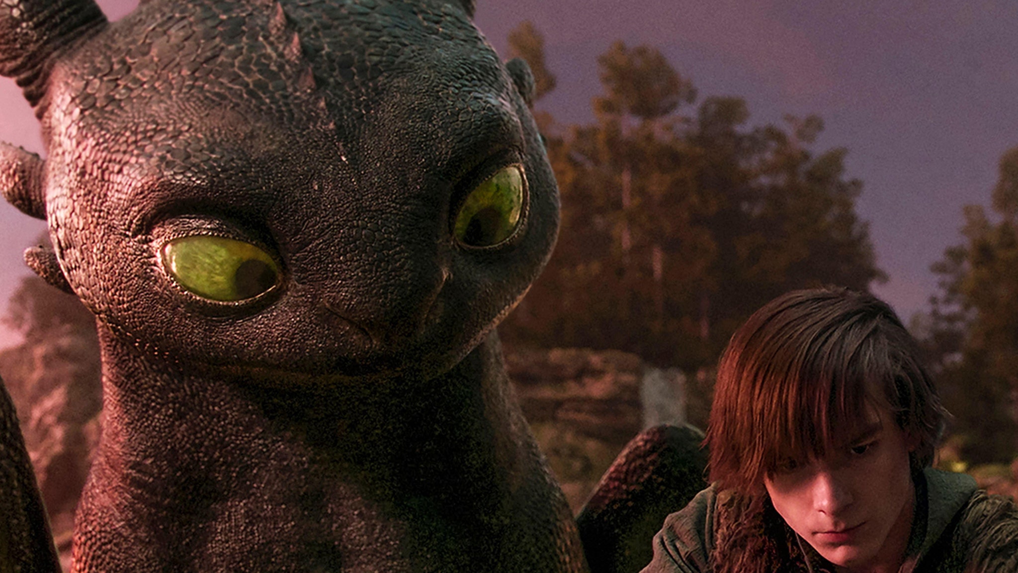 'How To Train Your Dragon 2' Crew Member Loses Fingers in Production Accident