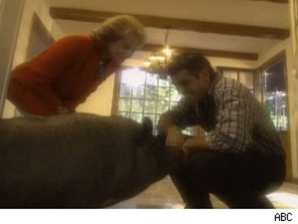 Barbra Walters, George Clooney and his pet pig