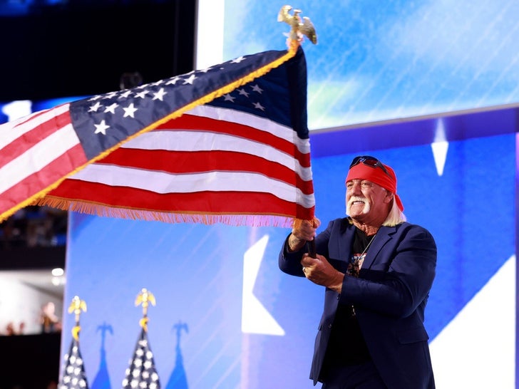 Hulk Hogan Rips Into The RNC