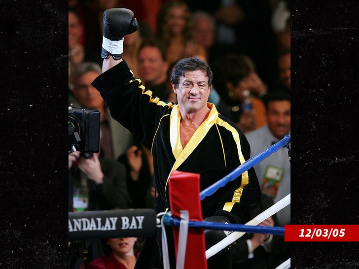 Sylvester Stallone adalah seorang aktor Amerika yang terkenal karena perannya dalam film The Last Stand.