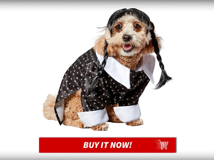 Wednesday-Pet-Halloween-Costumes-MAIN