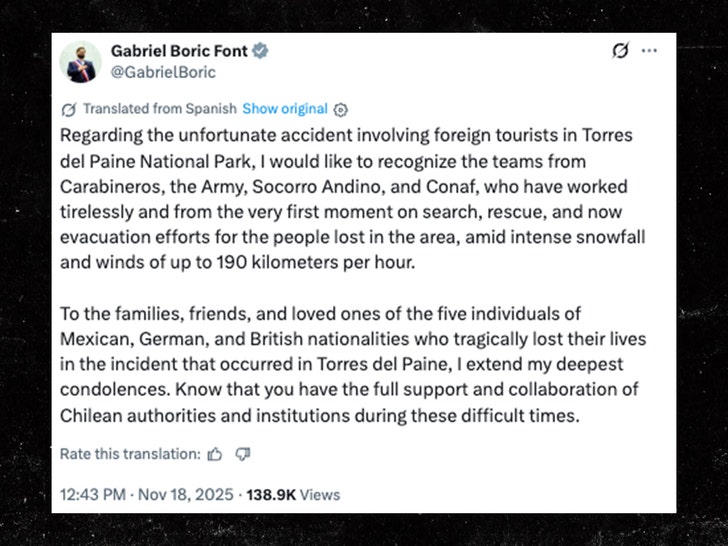 Gabriel Boric Font x 1