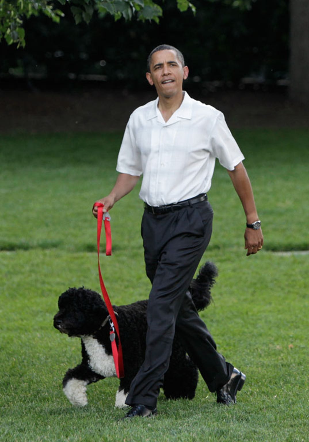 President Barack Obama and Bo