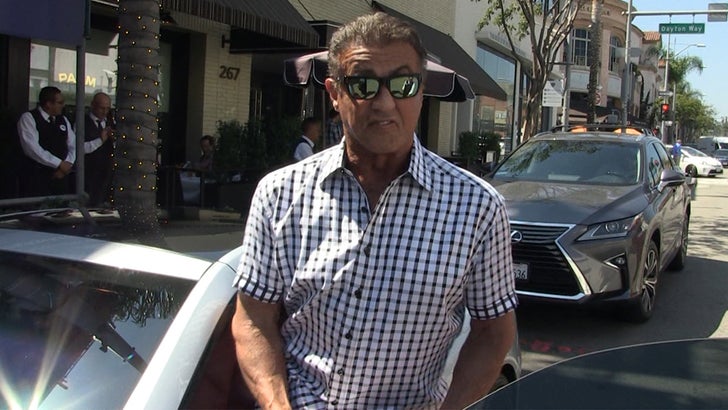 090617_sylvester_stallone_kal