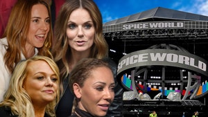 Spice Girls Reunion Tour Plagued with Sound Issues, Some Fans Feel Cheated