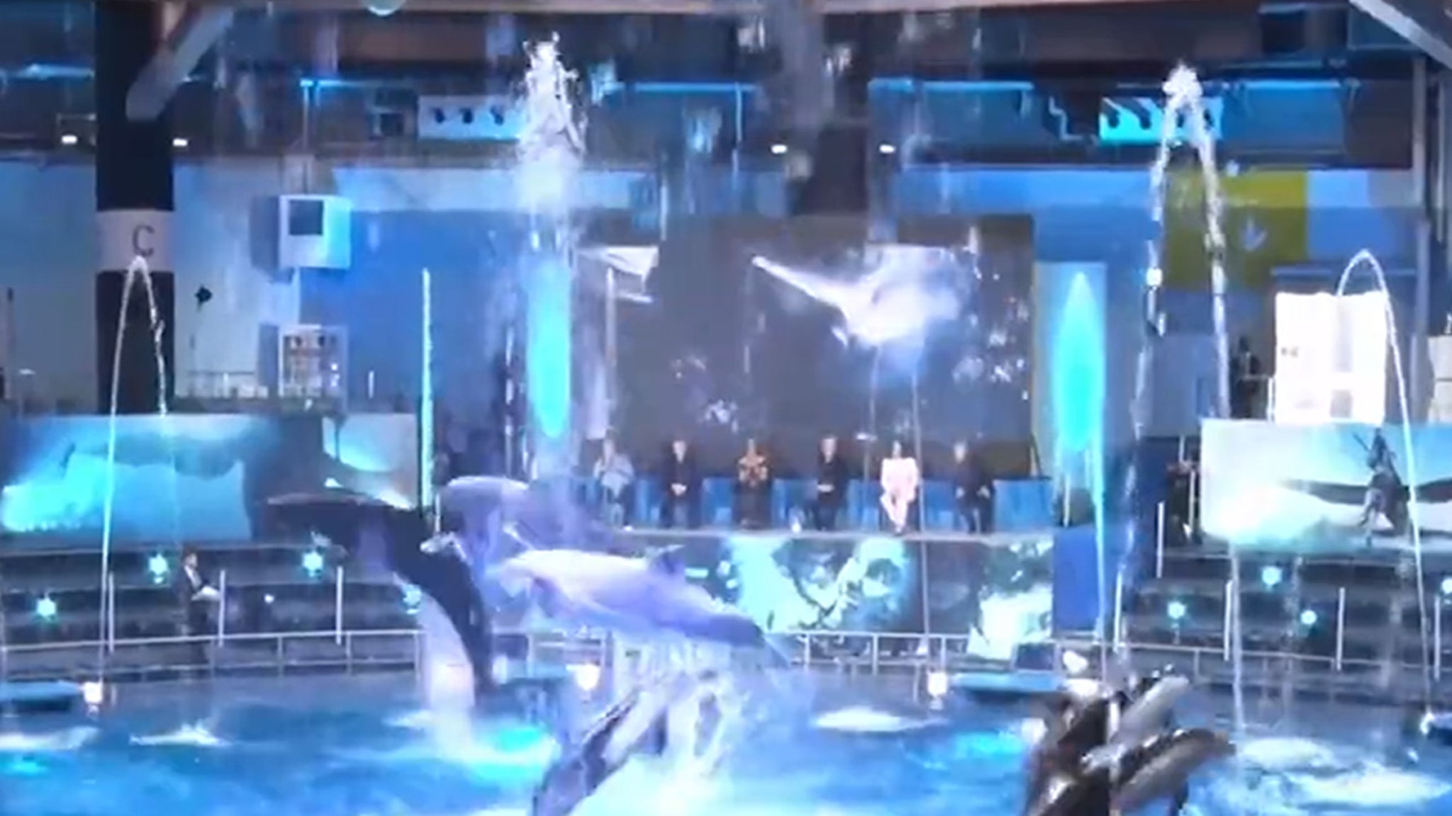 James Cameron Angers Animal Activists with Dolphin Show at ‘Avatar 2’ Promo