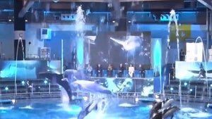 James Cameron Angers Animal Activists with Dolphin Show at 'Avatar 2' Promo