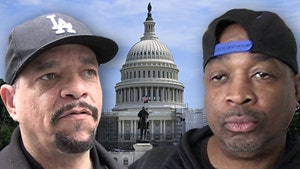 ice t chuck d