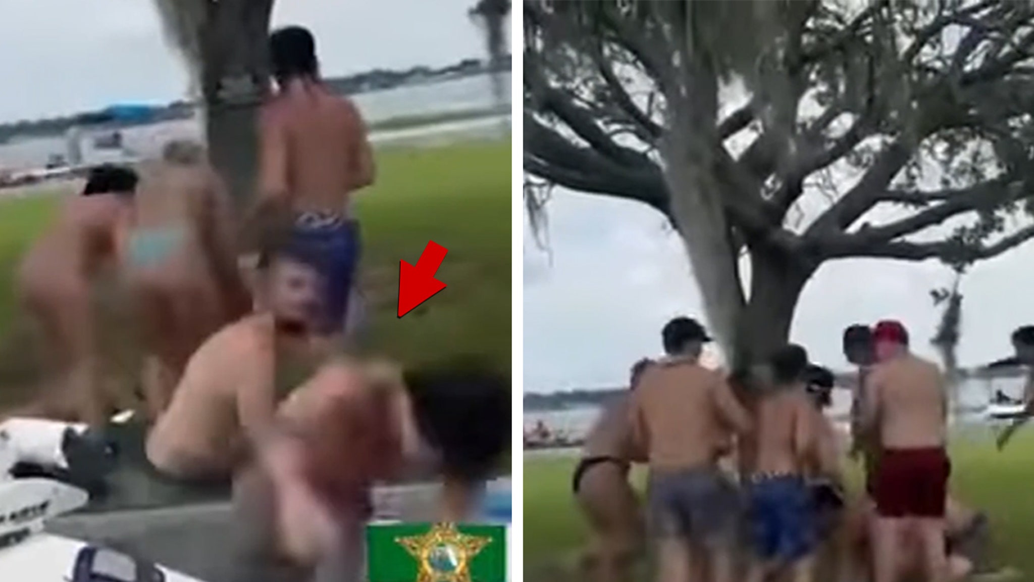 Florida Lakeside Brawl Caught on Insane Video, 8 Arrested