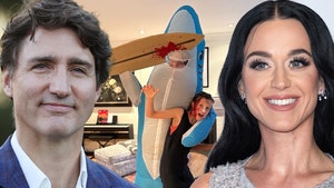 justin trudeau katy perry shark costume getty comp