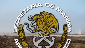 city of galveston mexican navy seal getty 1