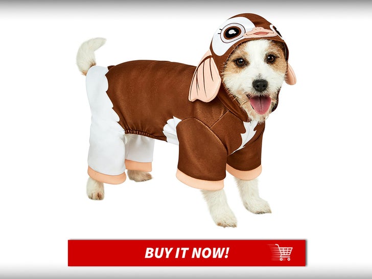Gizmo-Pet-Halloween-Costumes-MAIN