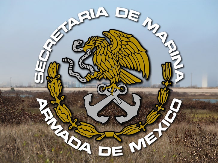 city of galveston mexican navy seal getty 1