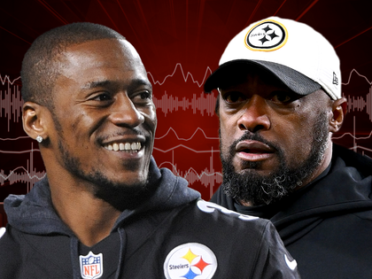 Willie Parker, Mike Tomlin