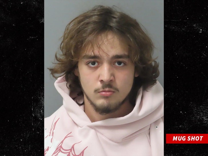 Anthony Lee-Armstrong mug shot 1